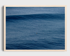 Groundswell Solo Surfer