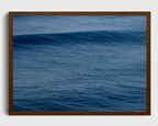 Groundswell Solo Surfer
