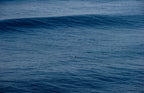 Groundswell Solo Surfer
