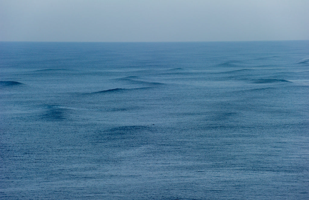 Groundswell Looking North