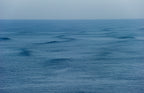 Groundswell Looking North