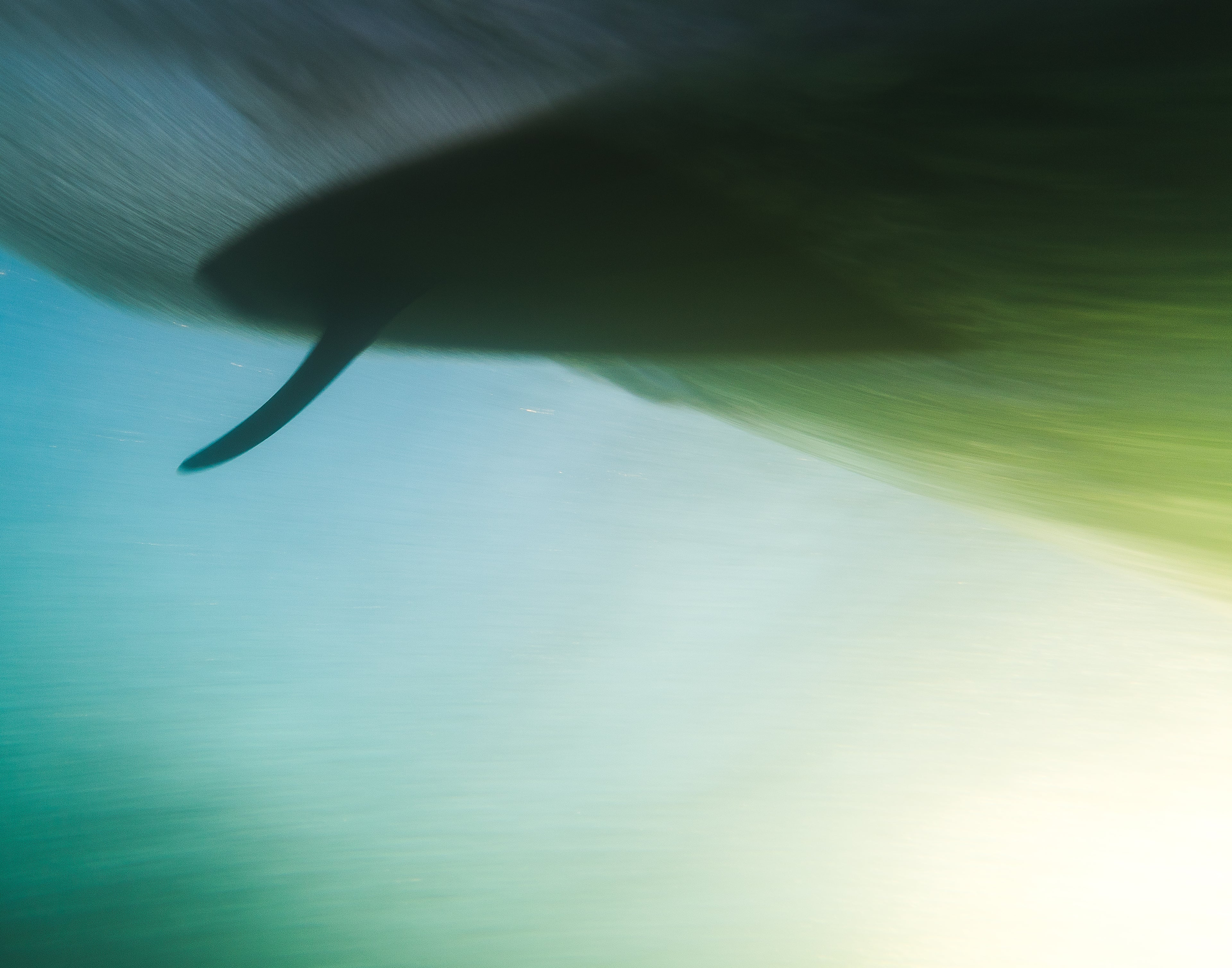 Single Fin Serendipity