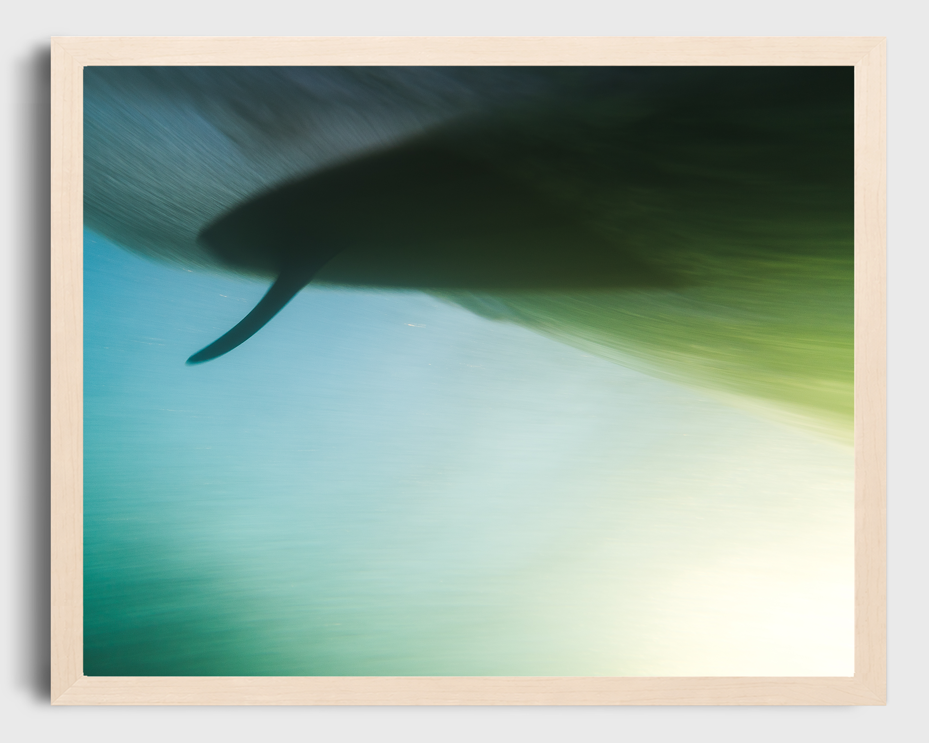 Single Fin Serendipity