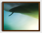 Single Fin Serendipity