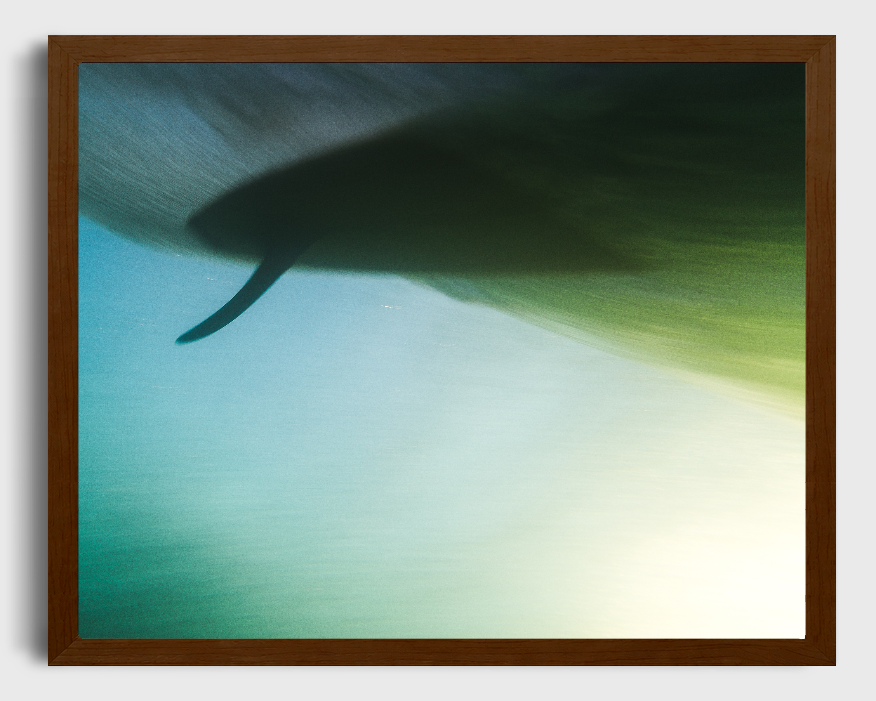 Single Fin Serendipity